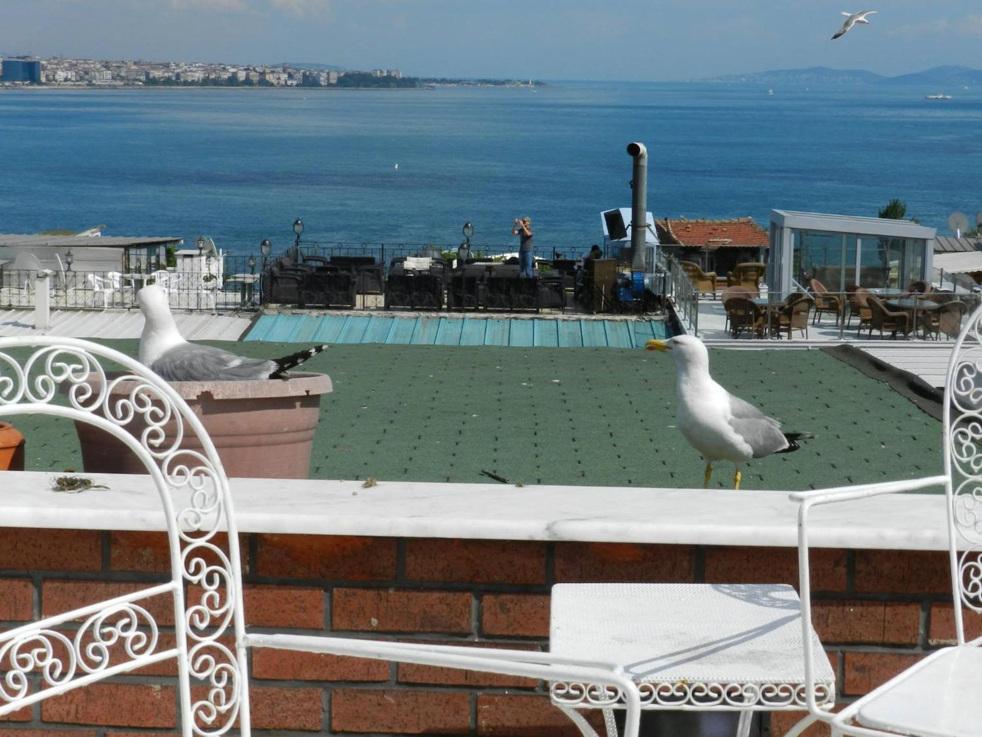 Berk Guest House - Grandma'S House Istanbul Eksteriør bilde
